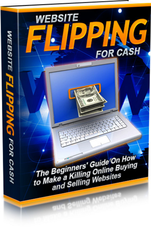 Product picture ** WEBSITE FLIPPING FOR CASH - Brand New 2010 Guide **